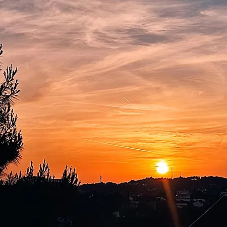 Anemomilos View דירה