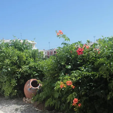 Anemomilos View * Koskinou (Rhodes)